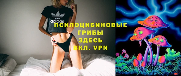 a pvp Володарск