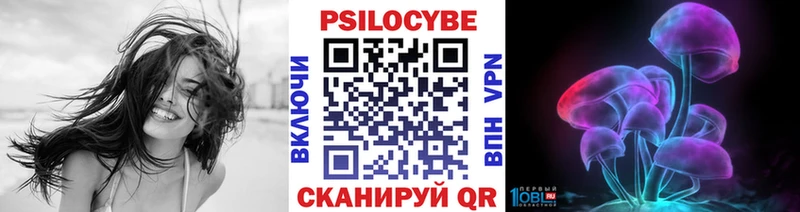 Псилоцибиновые грибы Cubensis  купить наркотики цена  Исилькуль 